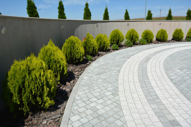 Best Local Driveway Pavers  in Wanakah, NY